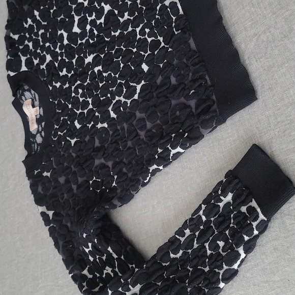 Philosophy Republic Cropped Sweater - Picture 5 of 13